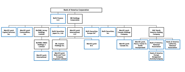 Bank of America Corporate Structure