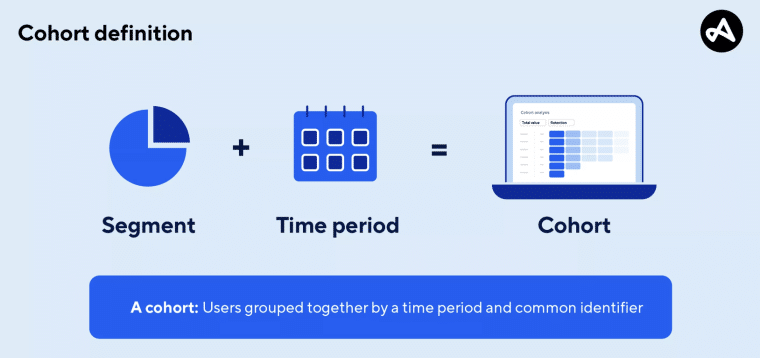 cohorts meaning Adjust