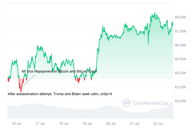 bitcoin rises in the past 7 days