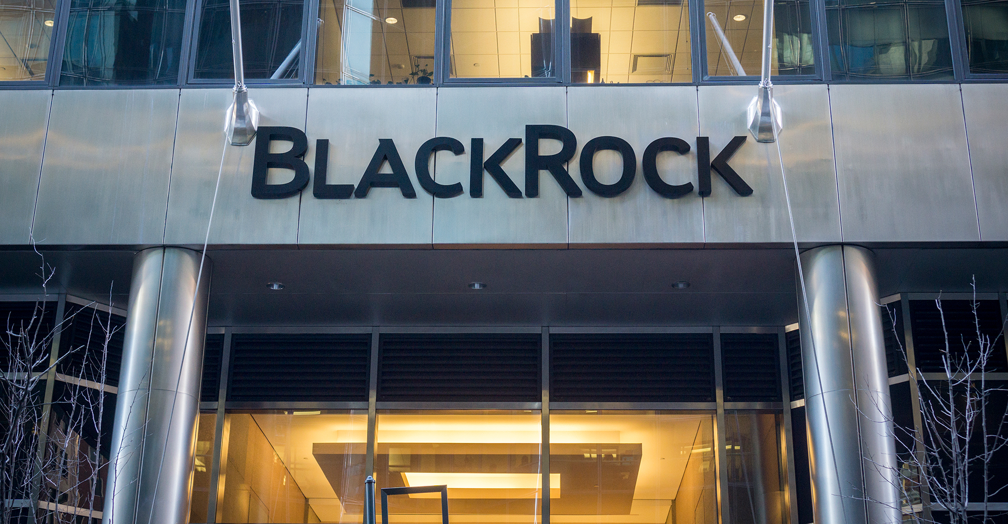 blackrock warns investors about a spike in crypto etfs scams