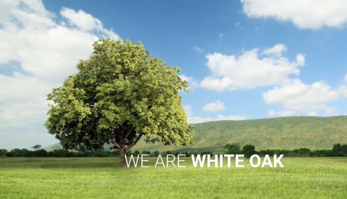 white oak global branding