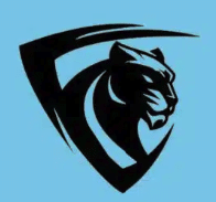 Panther -best TON presale