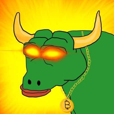 b1coin ton - best TON presale