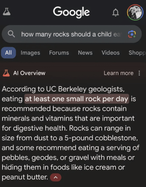 google gemini eat rocks