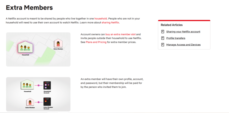 Netflix Extra Member feature explanation